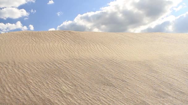 Vista a la cima de una duna de arena — Vídeo de stock