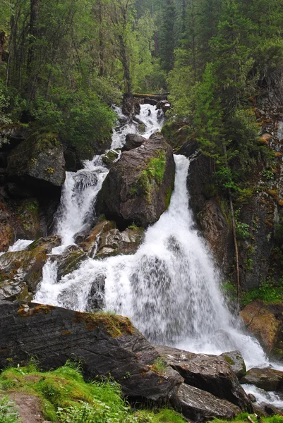 Waterfall Wide mountain Altai — Stock Photo, Image
