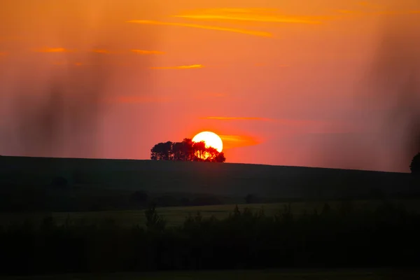 Feldgras Vor Dem Hintergrund Der Untergehenden Sonne Einem Sommerabend — Stockfoto