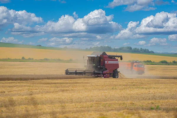 Zware Landbouwmachines Voor Oogst Middelste Rijstrook — Stockfoto