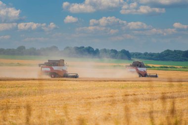 Orta şeritte hasat için ağır tarım makineleri