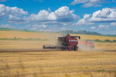 Orta şeritte hasat için ağır tarım makineleri