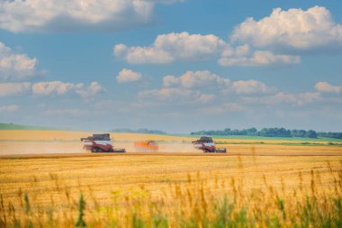 Orta şeritte hasat için ağır tarım makineleri