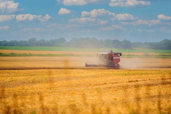 Heavy Agricultural Machinery Harvesting Middle Lane — 图库照片