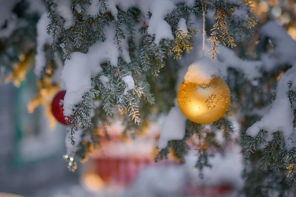 用雪装饰云杉树枝上的圣诞装饰品 — 图库照片