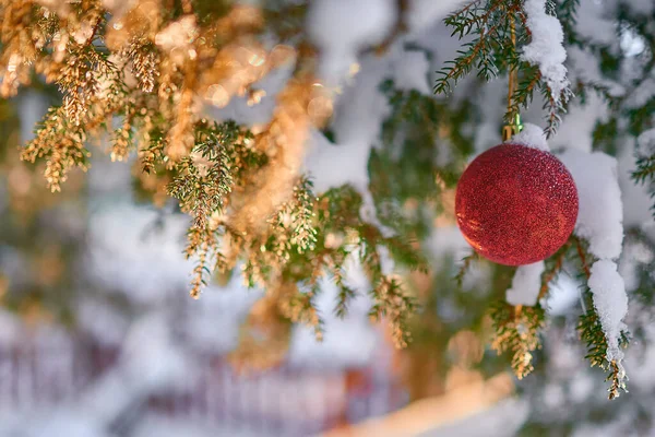 用雪装饰云杉树枝上的圣诞装饰品 — 图库照片