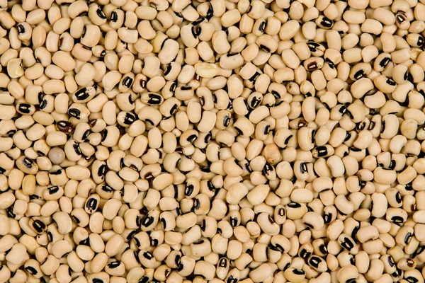 Black-eye beans solid texture