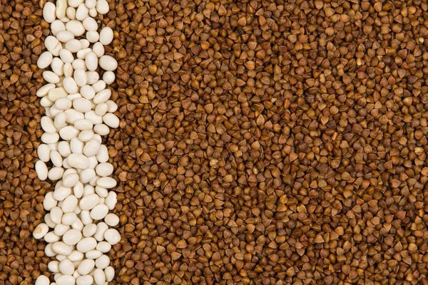 Buckwheat and white beans stripes texture — Stock Photo, Image