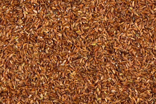 Red rice solid texture — Stock Photo, Image