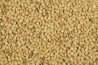 Yeşil mercimek sağlam doku