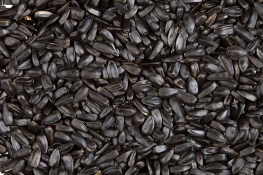 Ayçiçeği tohumları sağlam doku