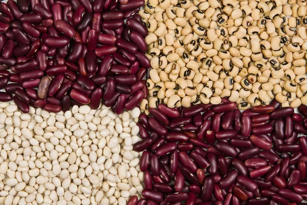Grid of red beans, white beans and black-eye beans, texture — Stock Photo, Image