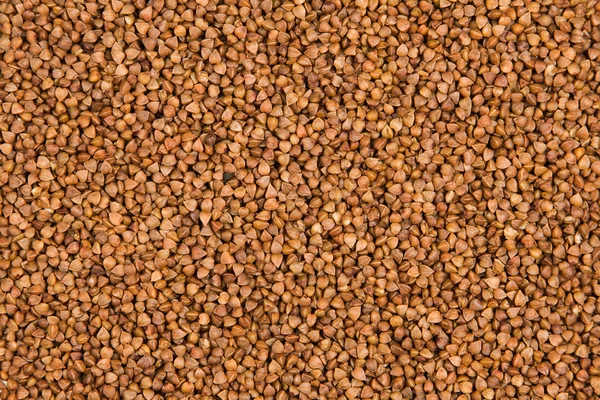 Buckwheat solid texture — Stock Photo, Image
