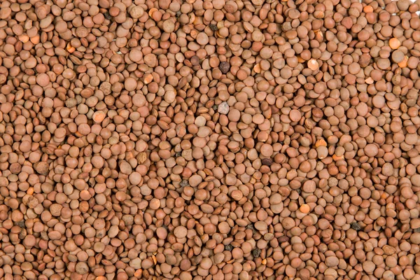 Red lentil solid texture — Stock Photo, Image