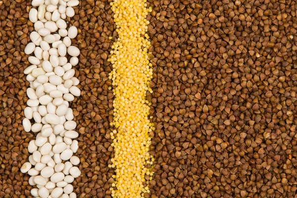 Stripes of buckwheat, white beans and millet, texture — Stock Photo, Image