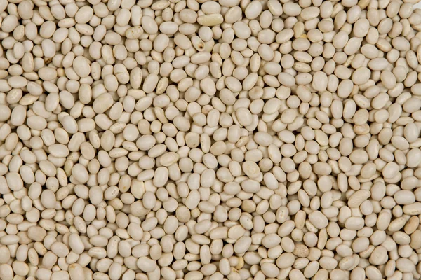 White beans solid texture — Stock Photo, Image