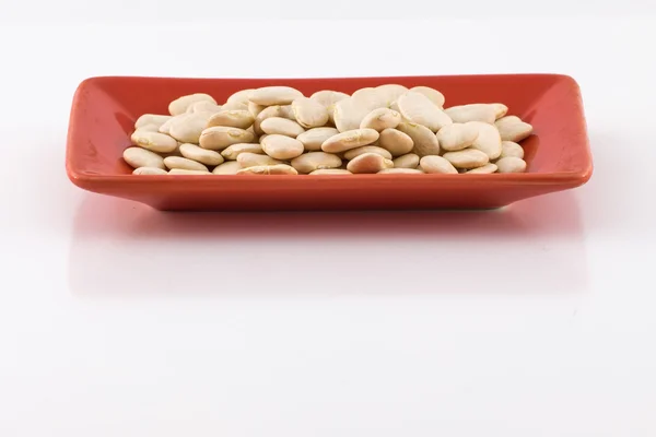 White beans on a terracotta plate — Stock Photo, Image