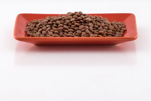 Brown lentils on a terracotta plate — Stock Photo, Image