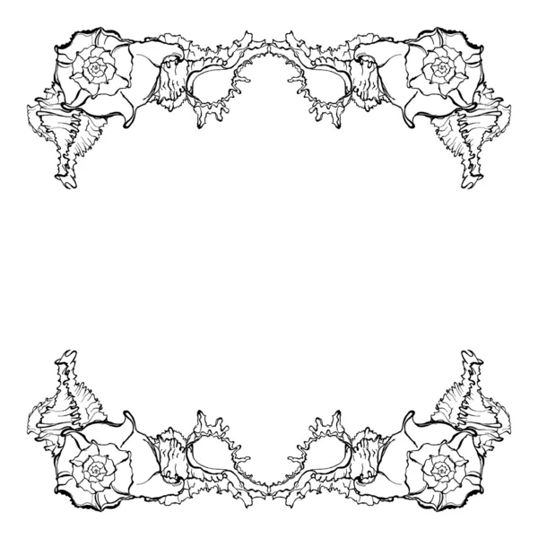 Cadre coquillages — Image vectorielle