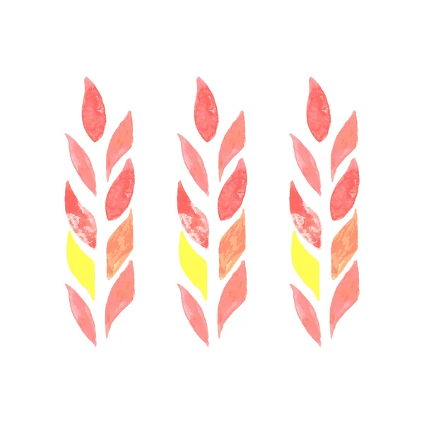 buğday kulaklar. beyaz izole. suluboya vektör çizim.