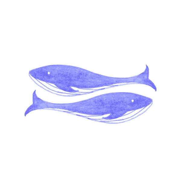 Balena acquerello. Illustrazione vettoriale . — Vettoriale Stock
