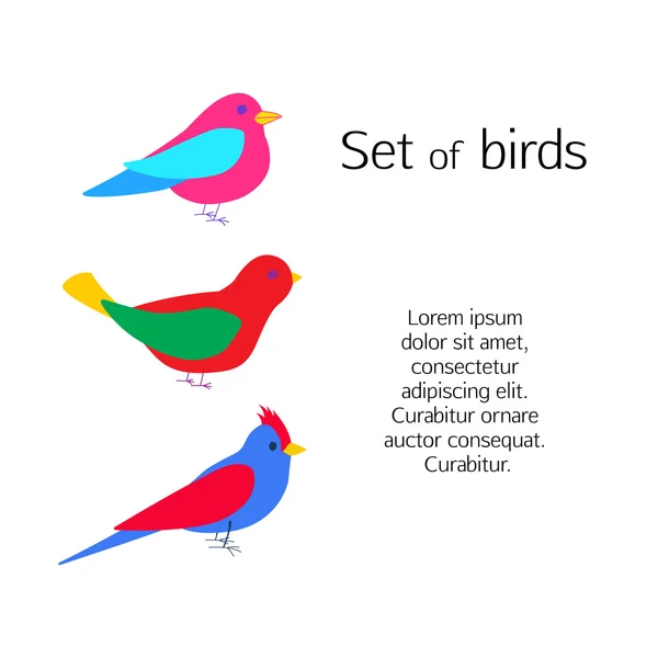 Vogels. instellen. vectorillustratie. — Stockvector