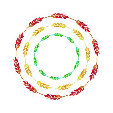 buğday, arpa ve çavdar kulaklar. vektör çizim.