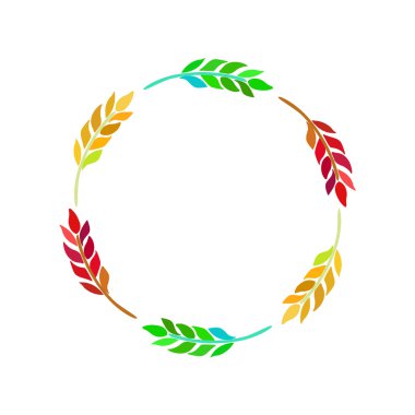 buğday, arpa ve çavdar kulaklar. vektör çizim.