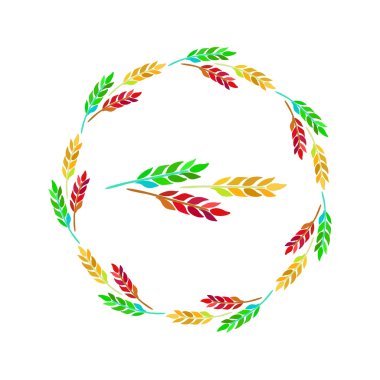 buğday, arpa ve çavdar kulaklar. vektör çizim.