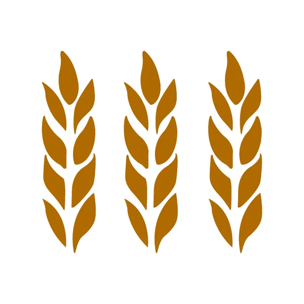 Orelhas de trigo, cevada isolada em branco para o seu design. Ilustração vetorial . — Vetor de Stock