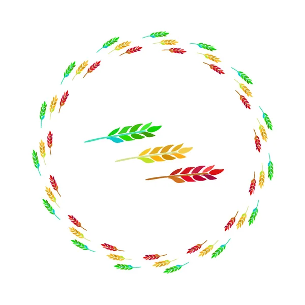 Oreilles de blé, d'orge ou de seigle. Illustration vectorielle . — Image vectorielle