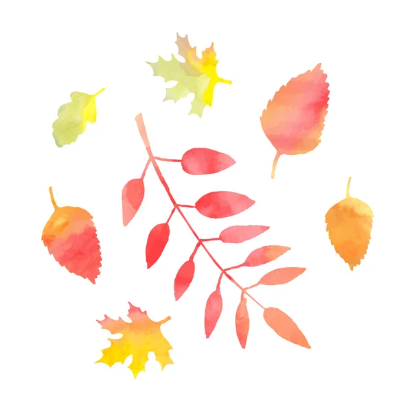 美丽的秋天叶子 — 图库矢量图片