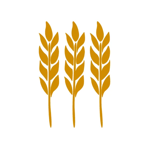 Orecchie di grano, orzo isolato su bianco per il vostro disegno. Illustrazione vettoriale . — Vettoriale Stock