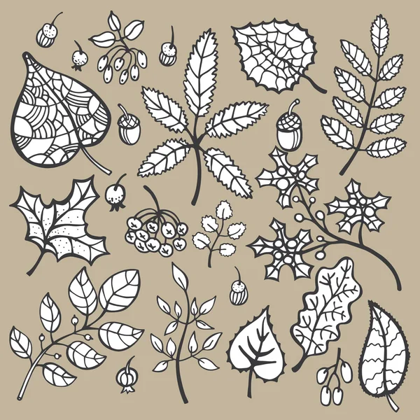 Декоративные осенние листья — стоковое фото