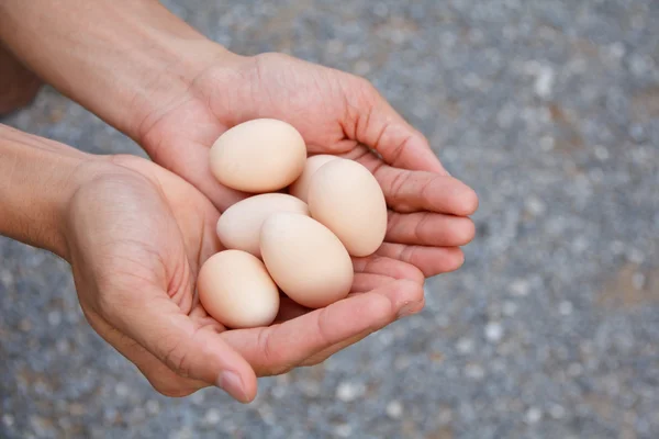 Egg in man hand — Stock Photo, Image