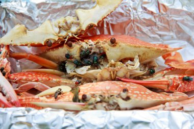 çürüyen ve atılan gıda ve ilgili malzemeler.