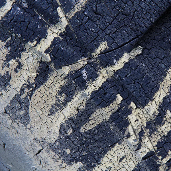 Close-up shot of wheel in dirt. — Stock Photo, Image