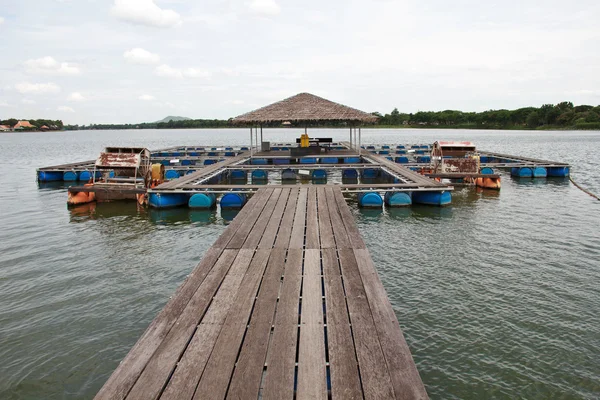 Рыбная ферма, расположенная в стране тай — стоковое фото