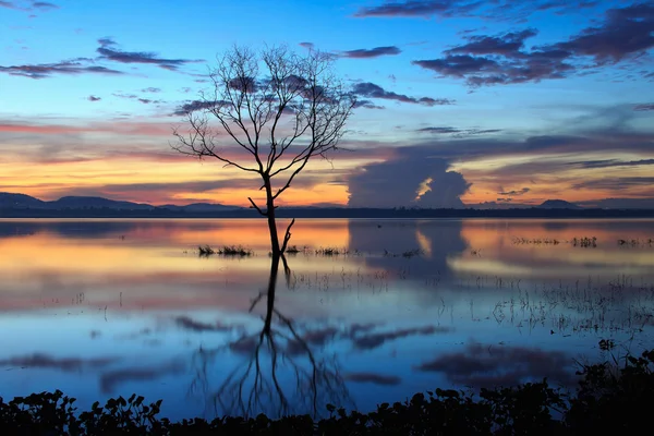 Wschód słońca nad dam z martwych drzew, w Tajlandii — Zdjęcie stockowe