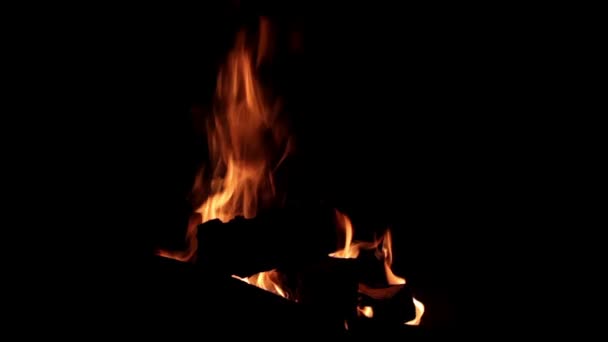 Vreugdevuur, vuur, vlam, grote brand — Stockvideo
