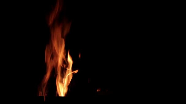 Fuoco, fiamma, grande fuoco, falò — Video Stock