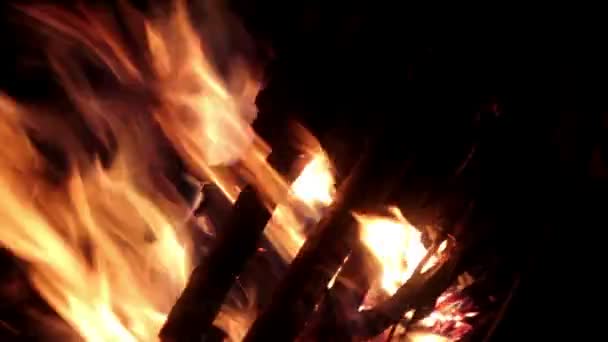 Fuoco, fiamma, grande fuoco, falò — Video Stock