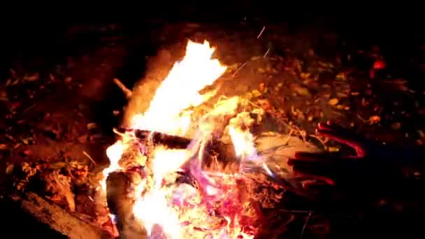 Aqueça as mãos junto ao fogo, aquecendo as mãos junto ao fogo — Vídeo de Stock