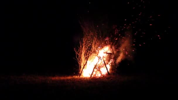 Fuego, llama, gran fuego, hoguera — Vídeos de Stock