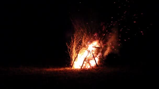 Fogo, chama, grande fogo, fogueira — Vídeo de Stock