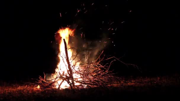 Fuego, llama, gran fuego, hoguera — Vídeo de stock