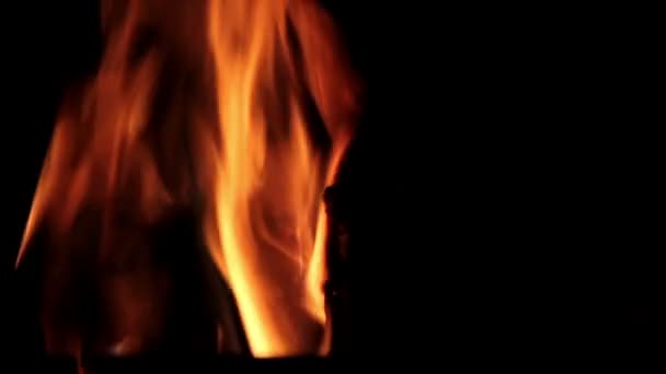 Fuoco, fiamma, grande fuoco, falò — Video Stock