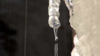 Icicle damlar, buz saçağı eriyor