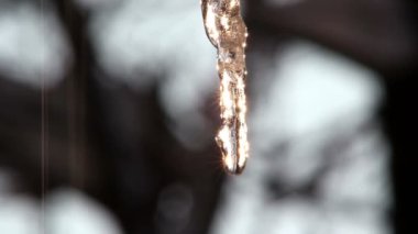 Icicle damlar, buz saçağı eriyor
