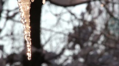 Icicle damlar, buz saçağı eriyor